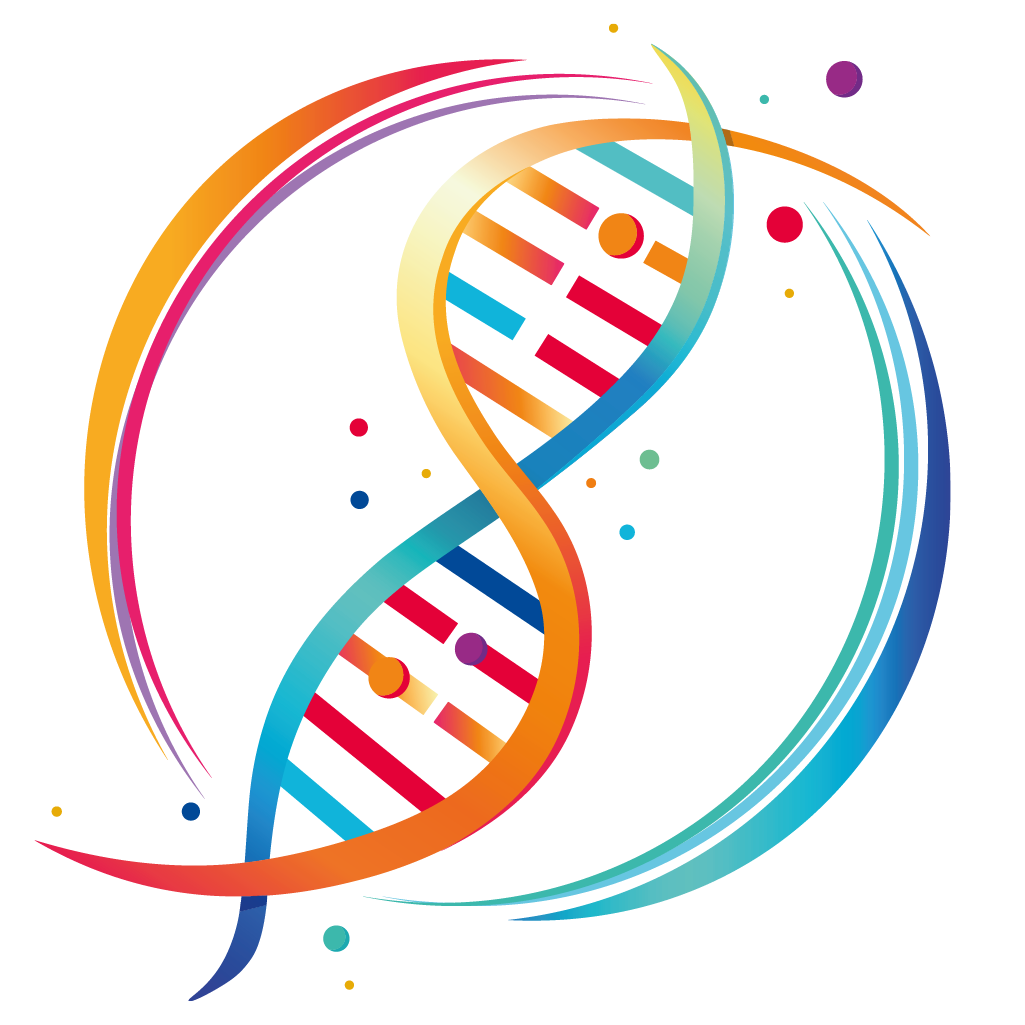 EXPERTS COMTABLE 2025